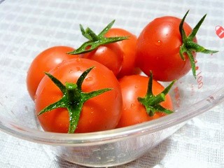 食べまきトマト　収穫